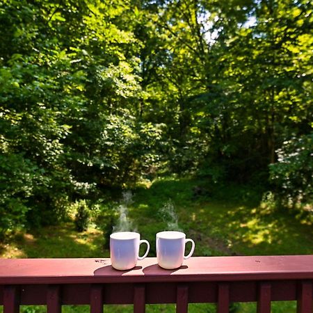 Smoky Mountains Hut Tub Cabin Dog Friendly Sevierville Εξωτερικό φωτογραφία